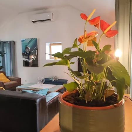 Jungalow - Tidordognehomes Apartman *
