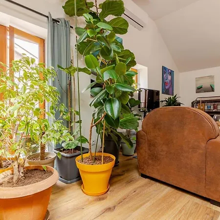 Jungalow - Tidordognehomes Apartman *