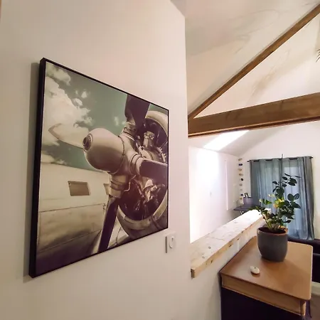 Jungalow - Tidordognehomes *