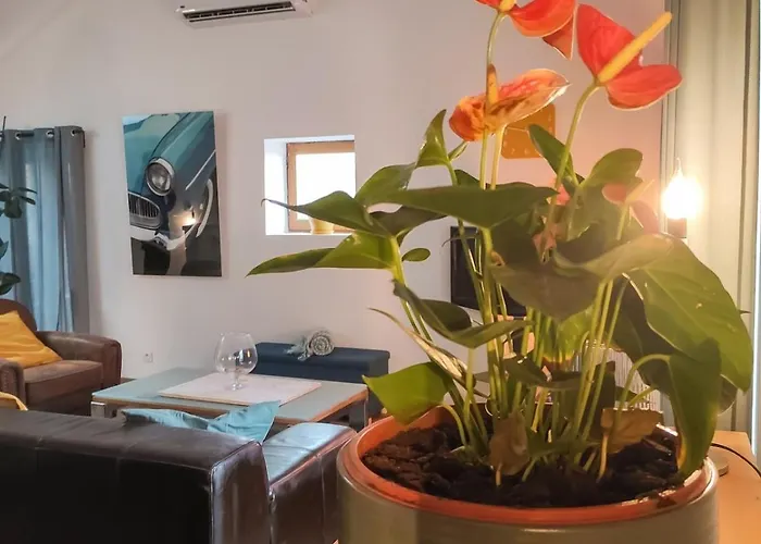 Jungalow - Tidordognehomes Apartament *